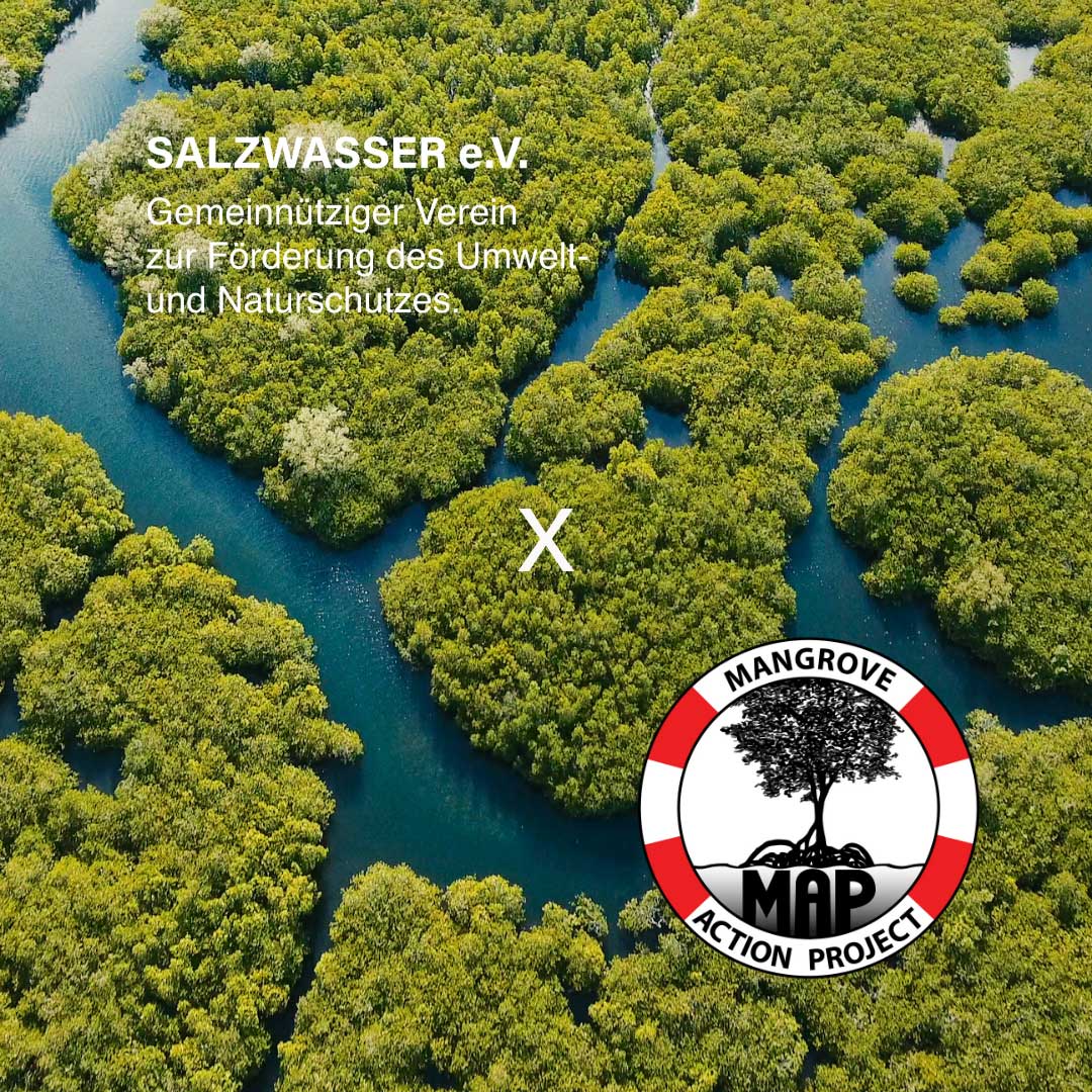 Mangrove Action Project