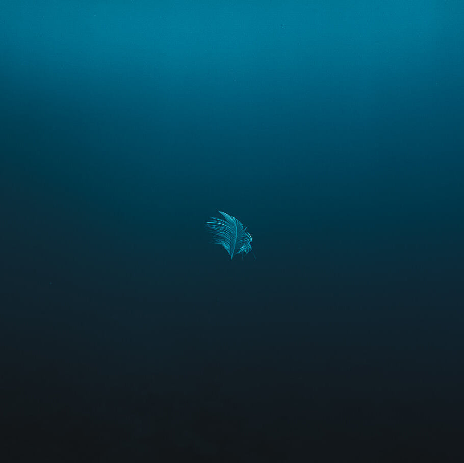 Teneriffa mit Lauritz Kuntscher