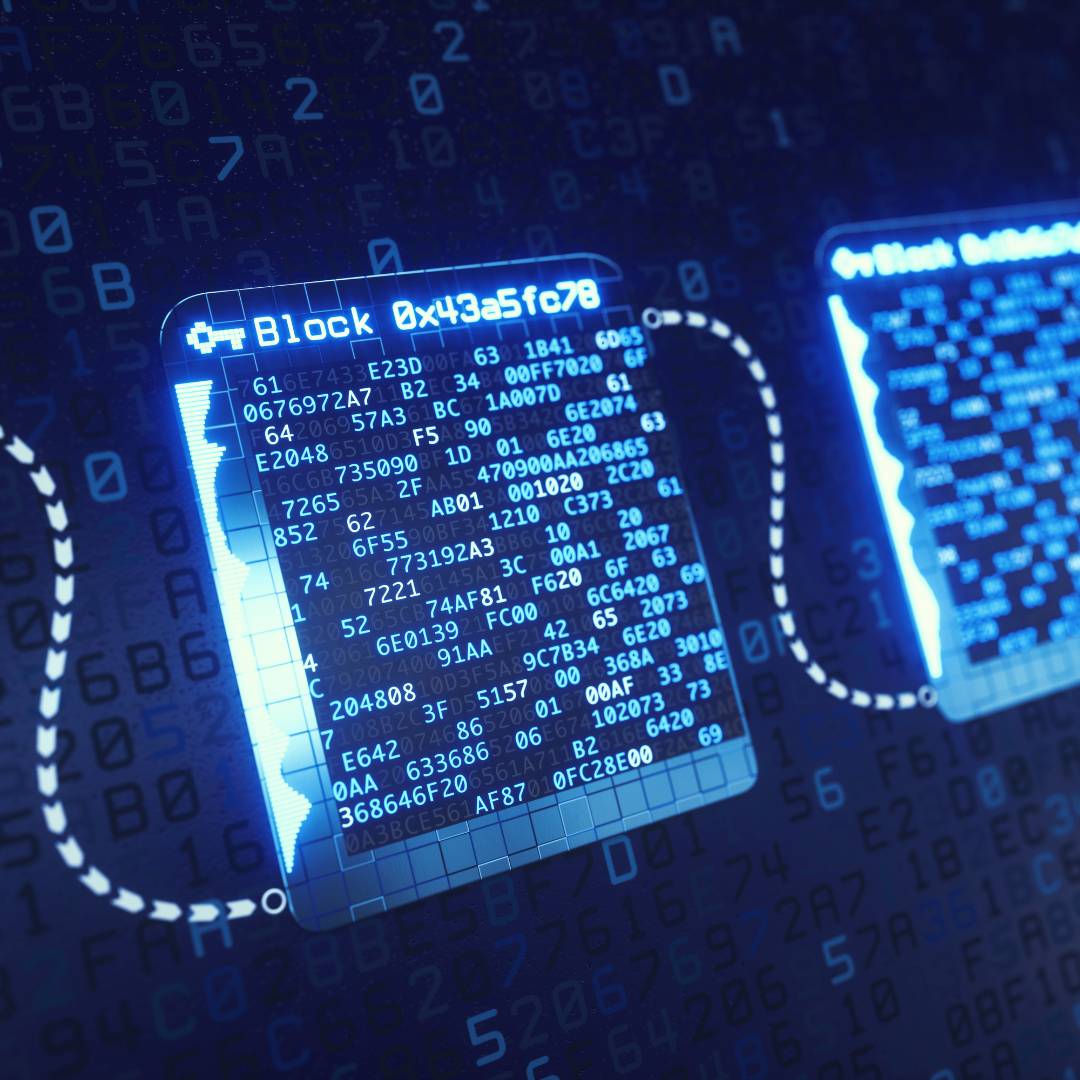 Rückverfolgbarkeit und Transparenz - so wird die Modeindustrie tatsächlich nachhaltiger 