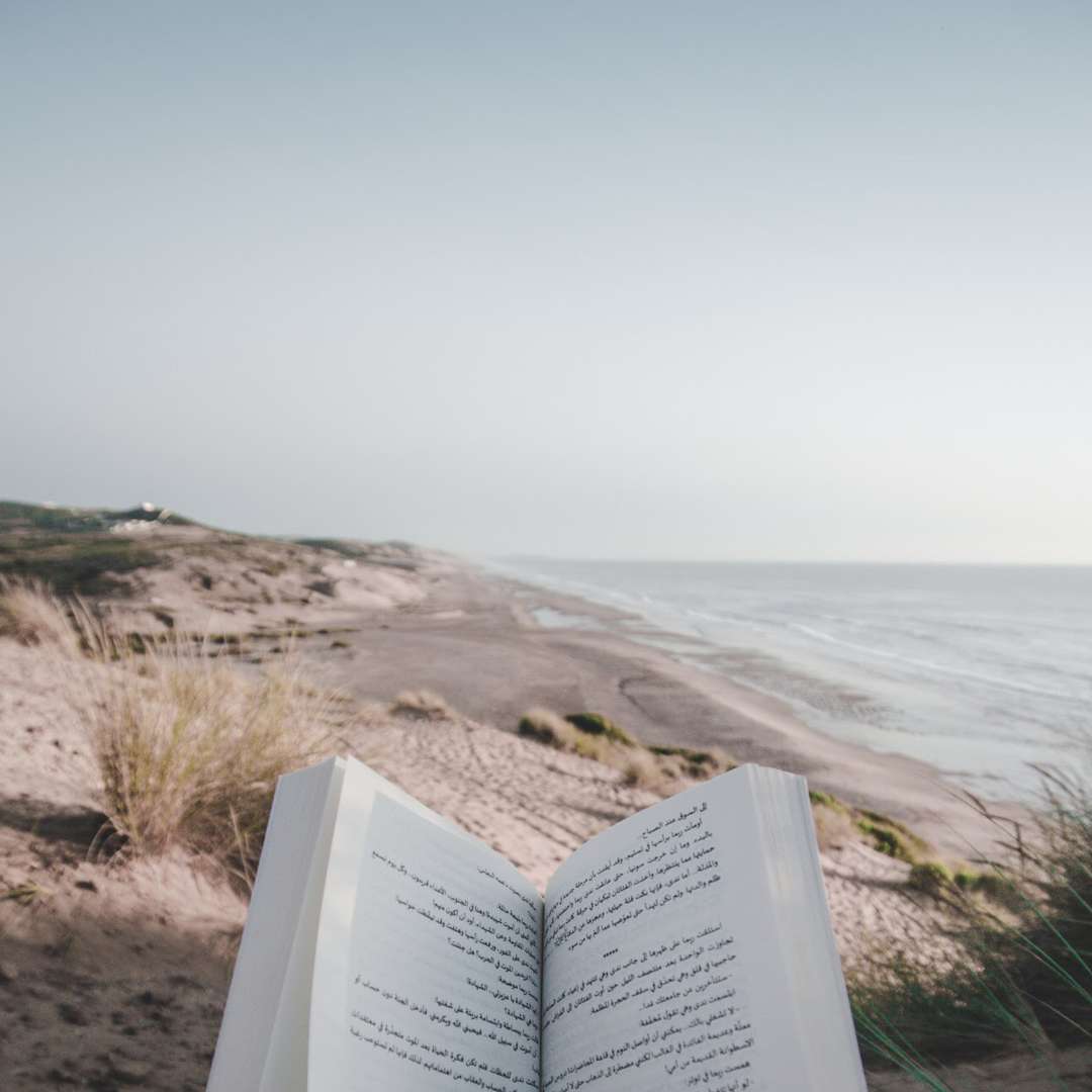 Filme und Bücher über das Meer