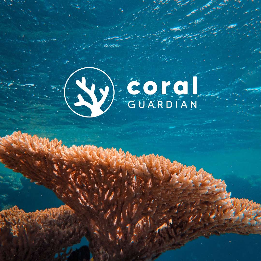 Coral Guardian