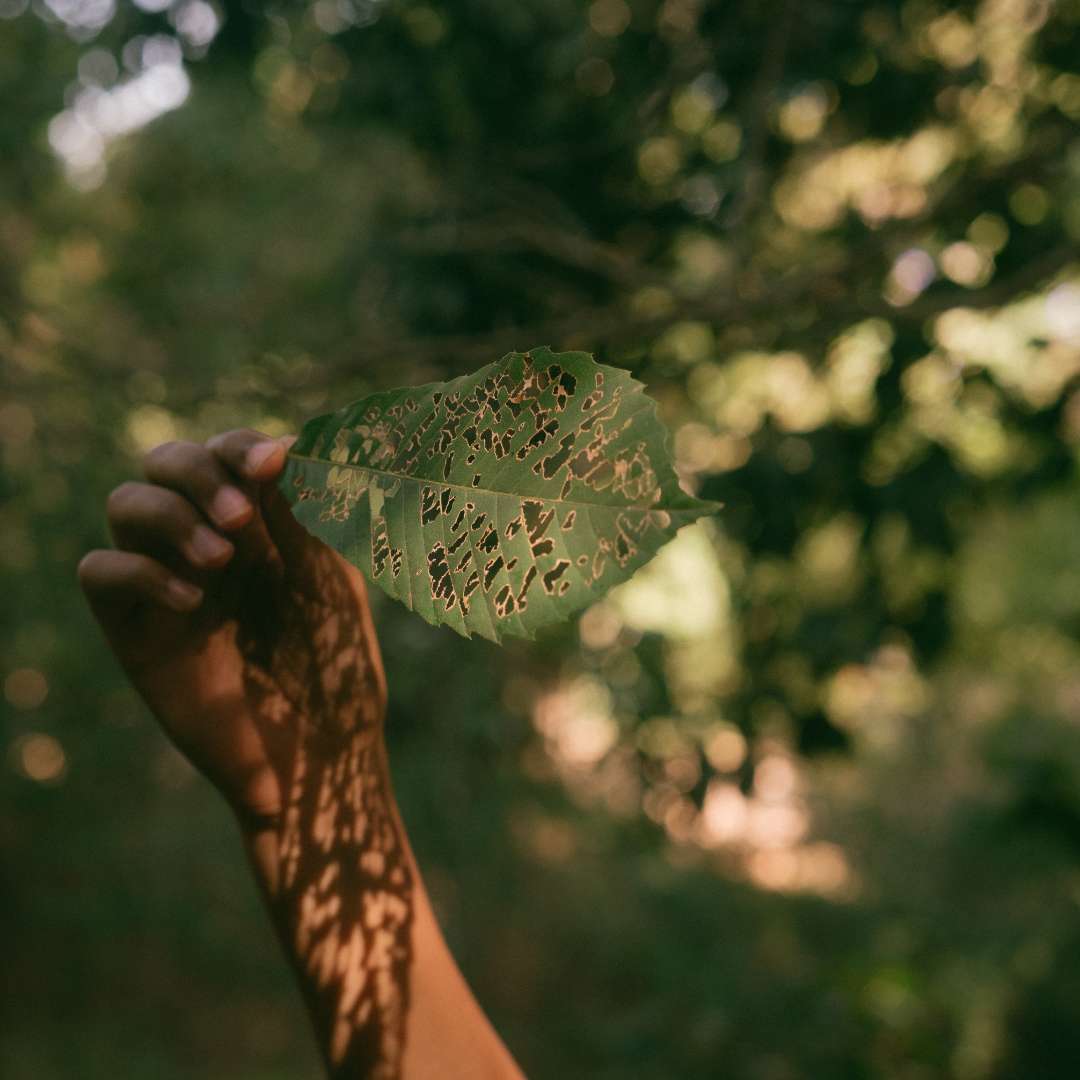 Drei-Säulen-Modell der Nachhaltigkeit