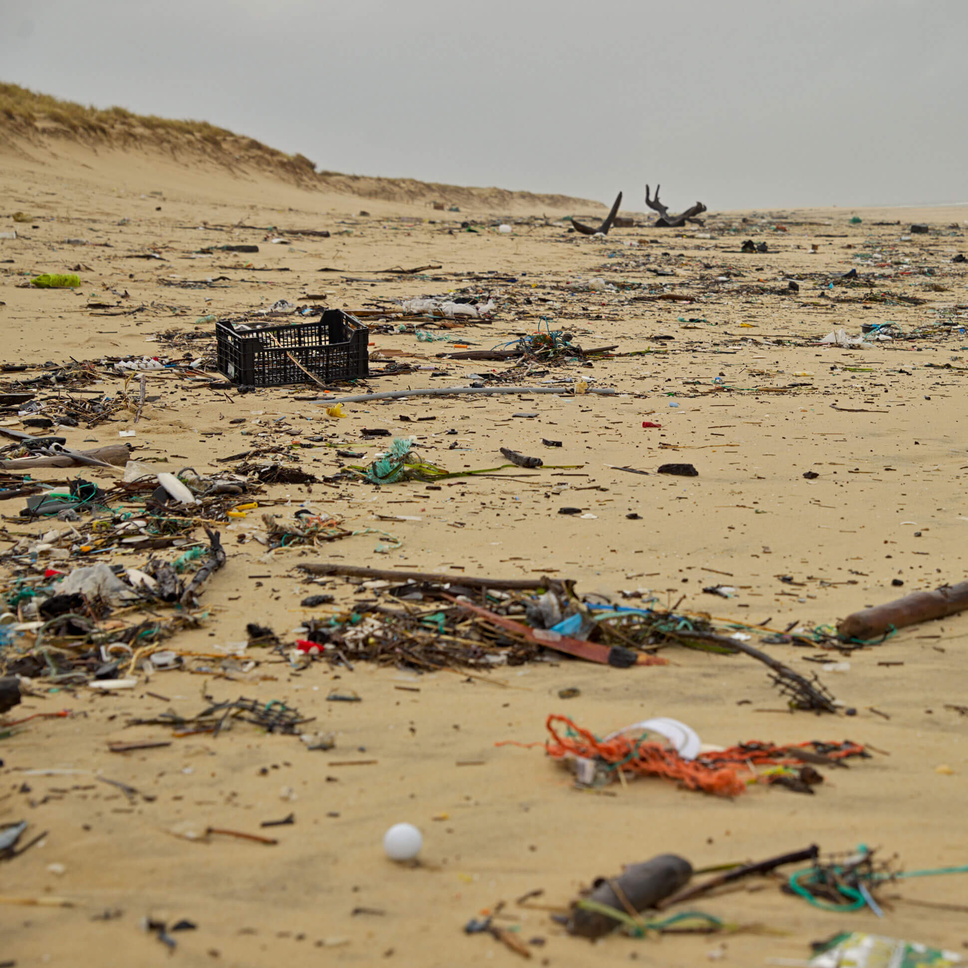 Küste gegen Plastik e.V.