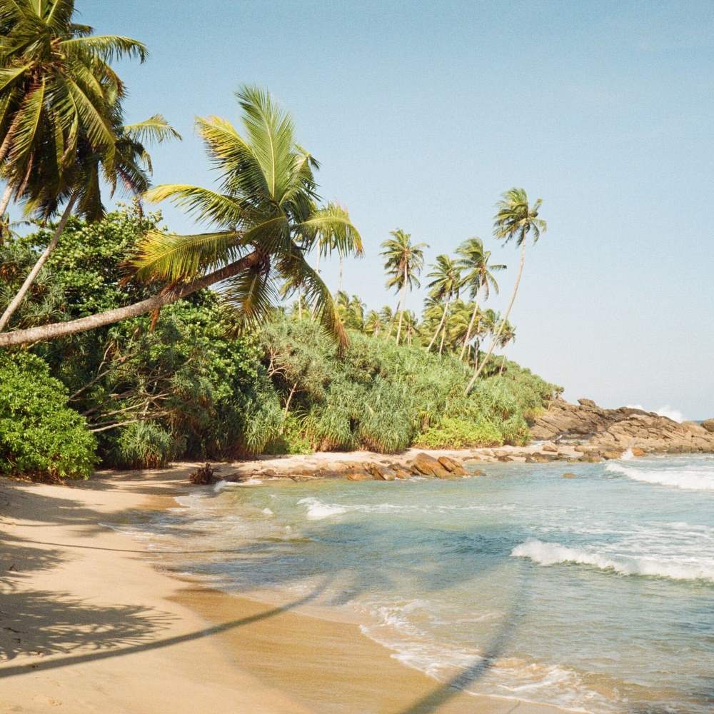 Sri Lanka nachhaltig bereisen