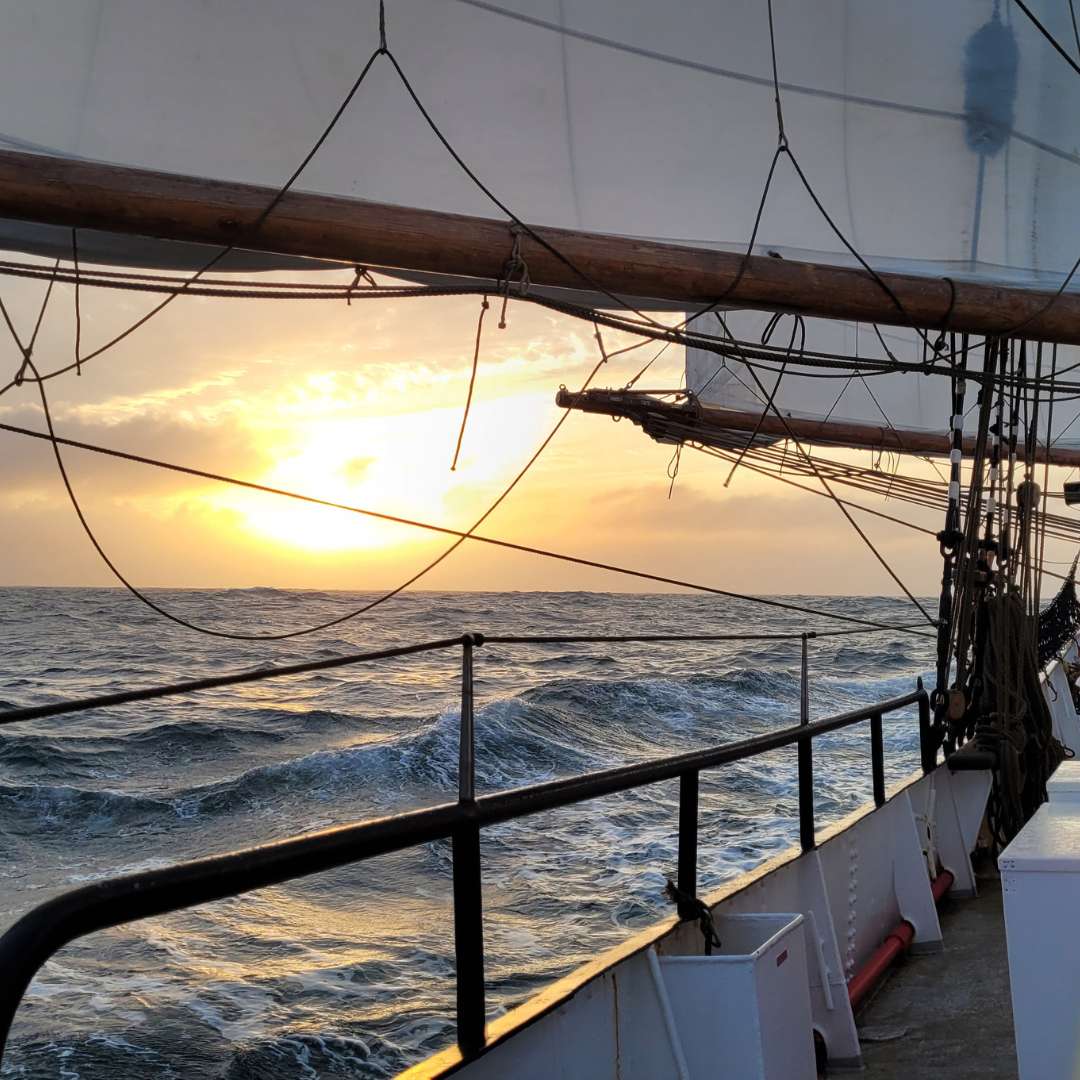 Daniel von Timbercoast über die Zukunft emissionsfreier Seefahrt