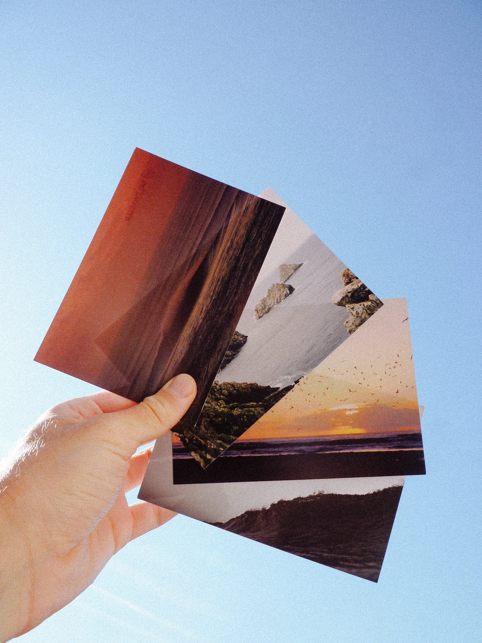 Limitierte Mini-Prints: World Ocean Week
