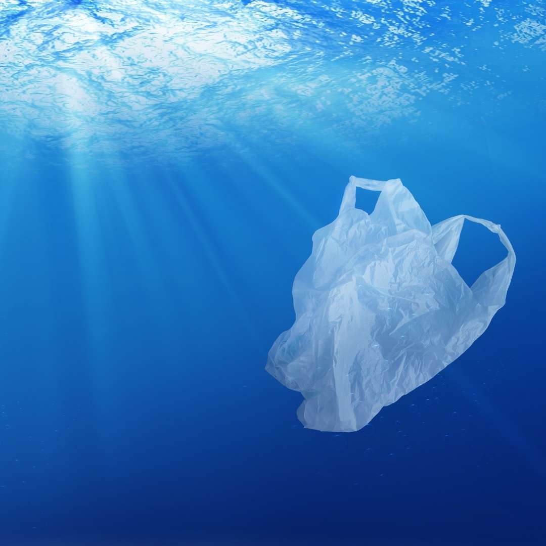 plastik-im-meer-1639128717005__PID:cb1d3b66-6d9e-4606-8461-d8cdbead0bc5