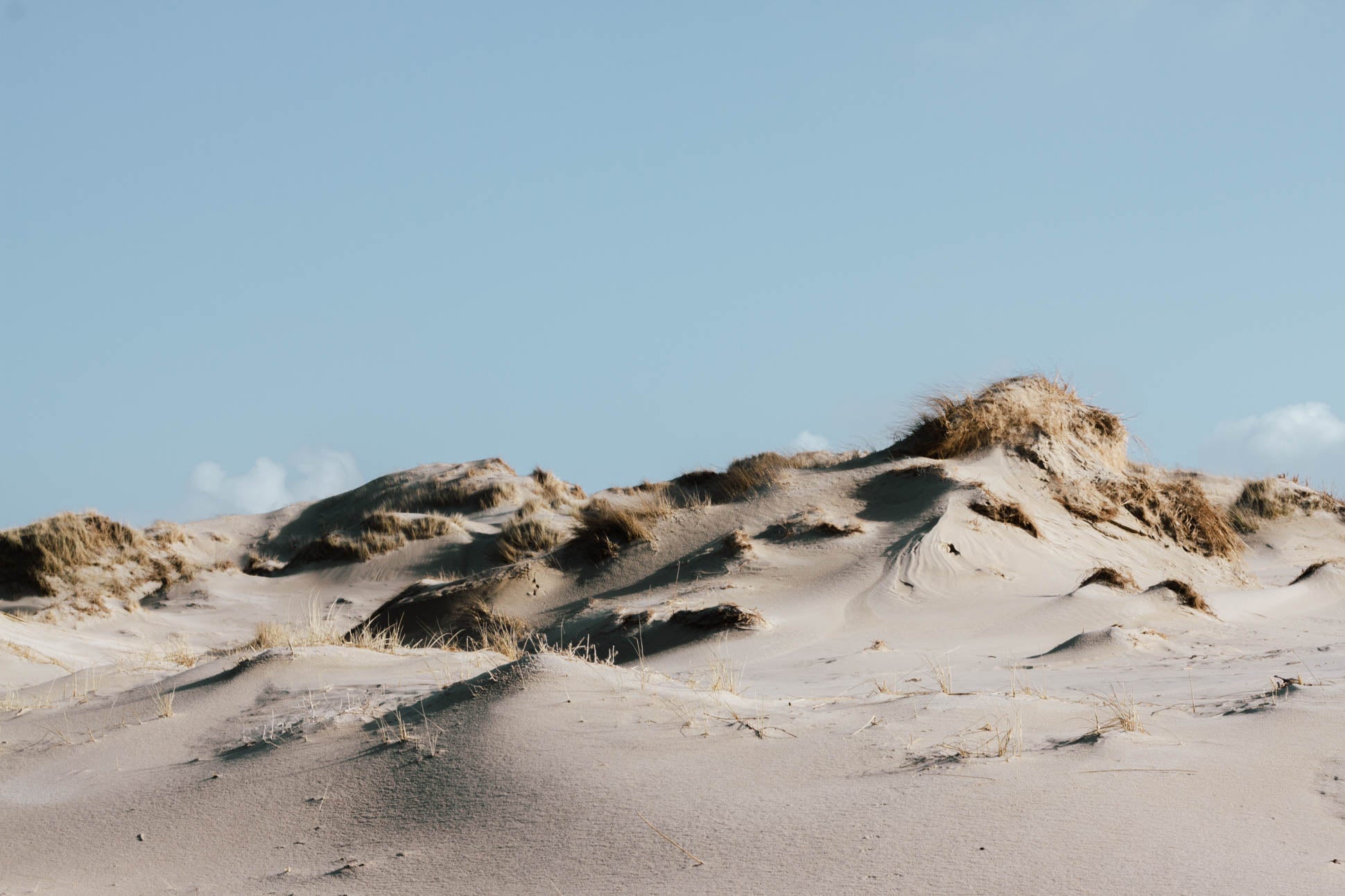 Dünen am Strand vor hellblauem Himmel auf Norderney